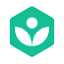 Khan Academy (Khanmigo)
