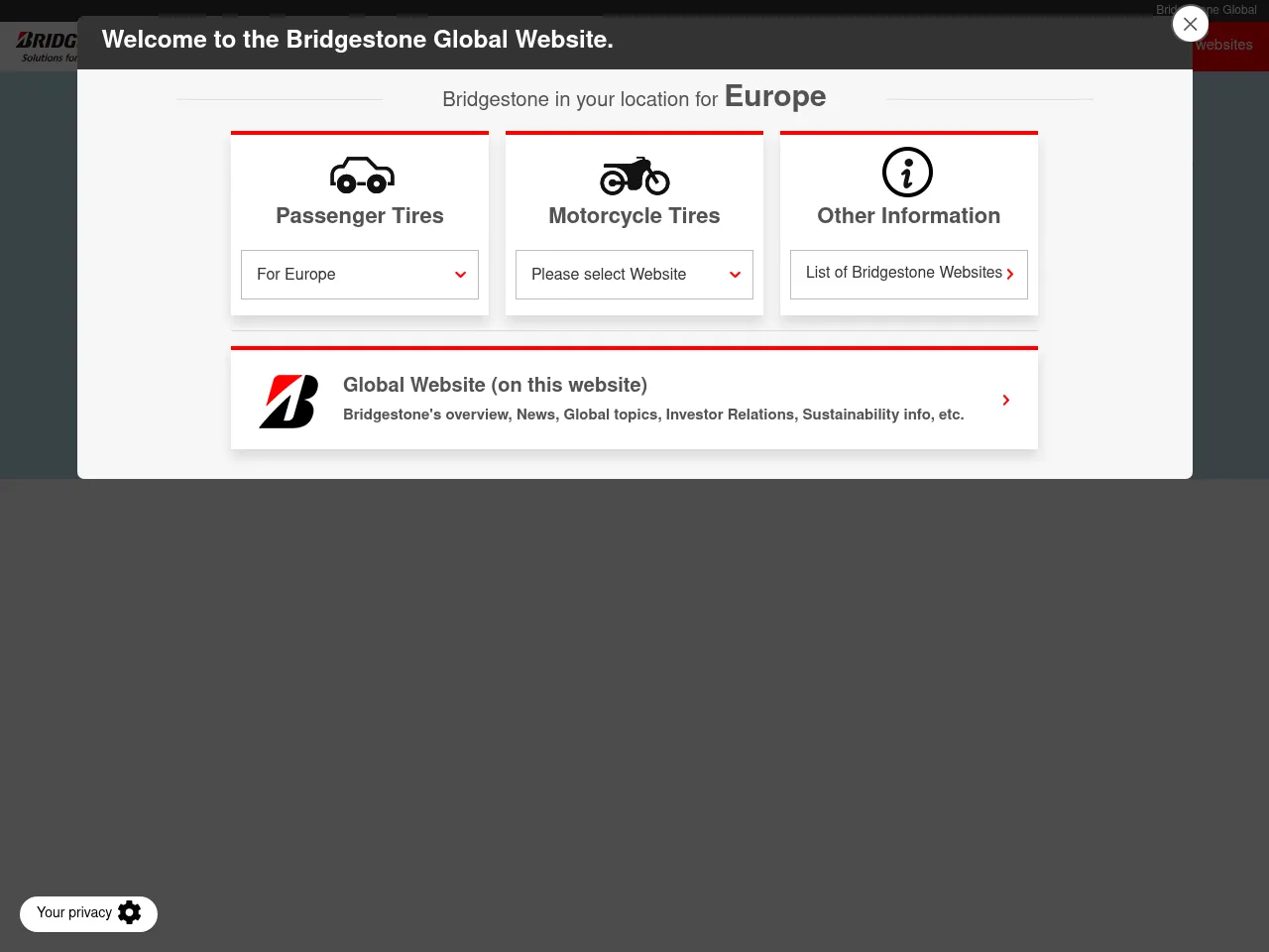 Bridgestone Screenshot