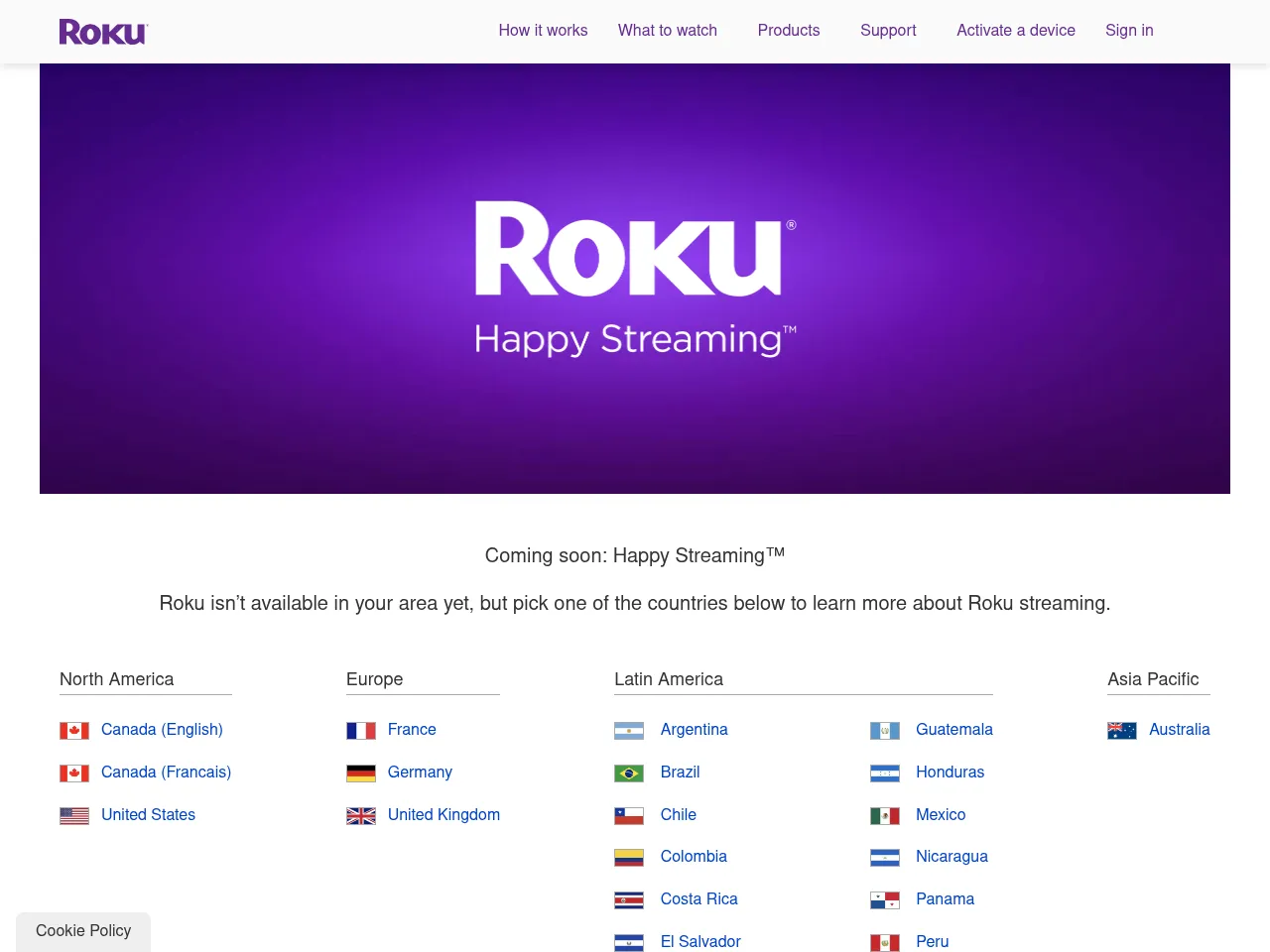 Roku Screenshot