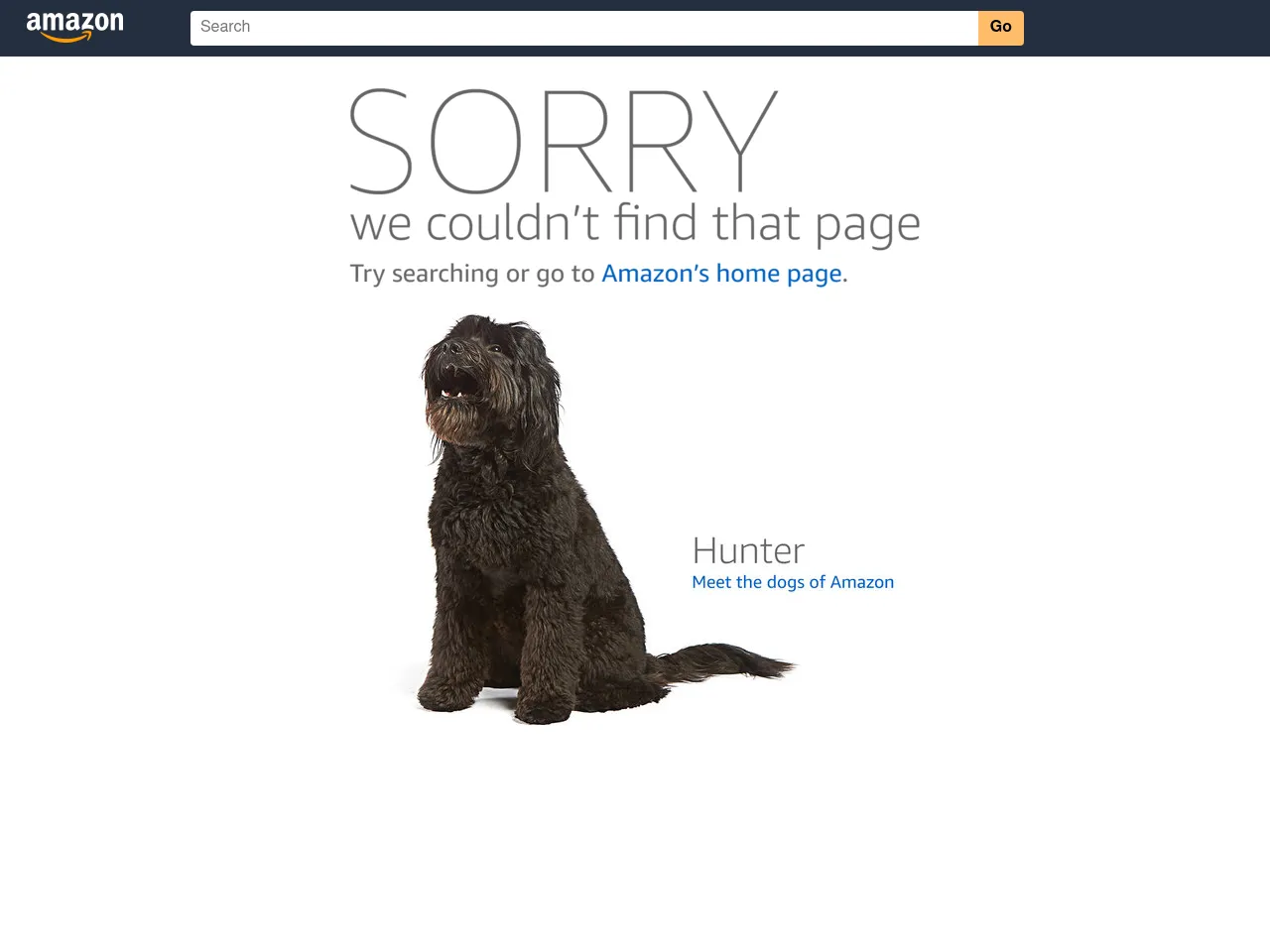 Amazon Prime Video Screenshot